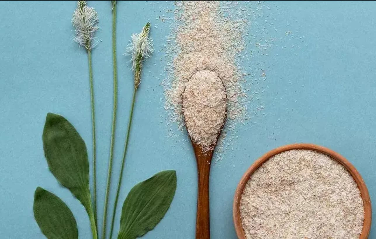 Psyllium Husk Powder Capsules