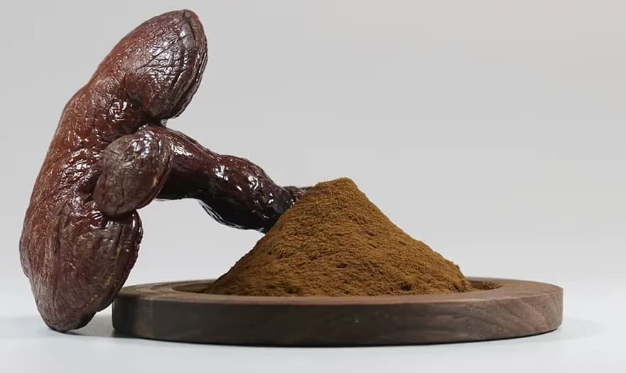 Organic Red Reishi Mushroom Extract 40:1 with Beta Glucan and Triterpene