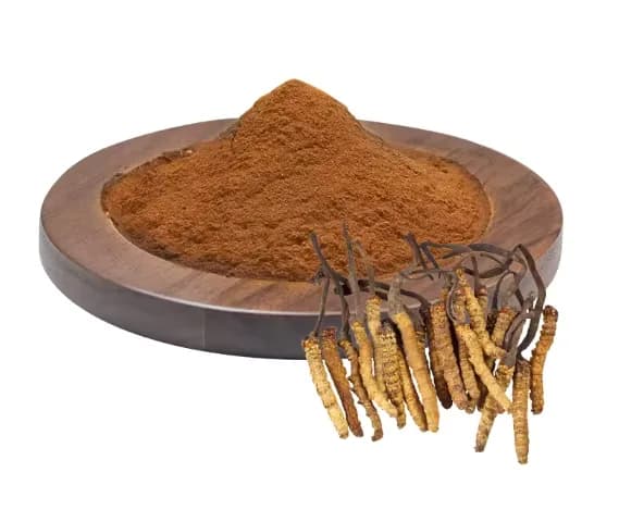 Organic Cordyceps Sinensis Extract CS-4 Strain