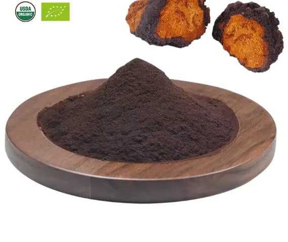 Organic Chaga Mushroom Extract 40% Beta Glucan